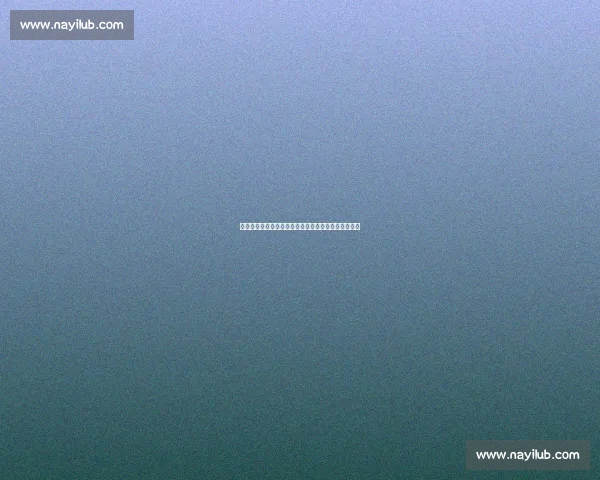 博卡主帅：承认欧洲差距，但世俱杯表现无愧豪门尊严