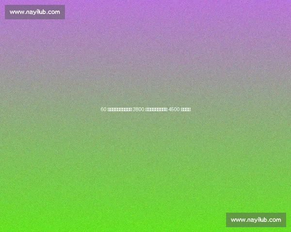 60 号秀逆袭！梅里尔签下 3800 万新约，生涯总薪破 4500 万创历史