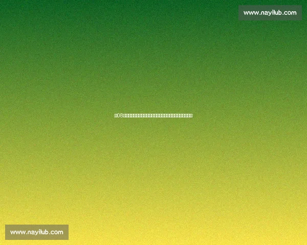 以08年布拉格对决霸气之战揭开经典赛事荣耀与激情巅峰时刻回顾