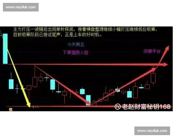瑞典vs韩国盘口深度解析球队状态战术走向与胜负关键数据对比历史交锋